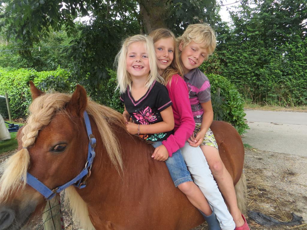Boerderijcamping Plantlust Veere Kamer foto